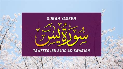 meisa sawa|Arabic.